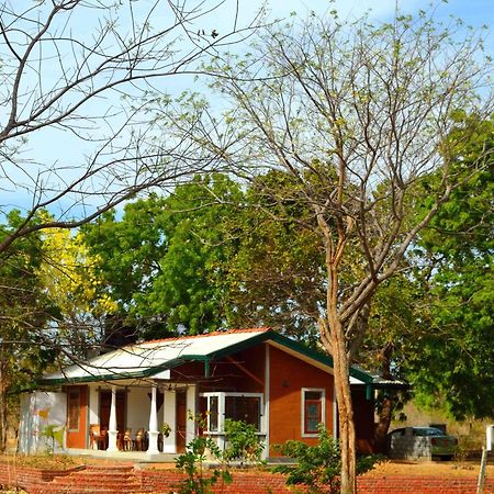 Pelican View Cottages كاتاراغاما المظهر الخارجي الصورة